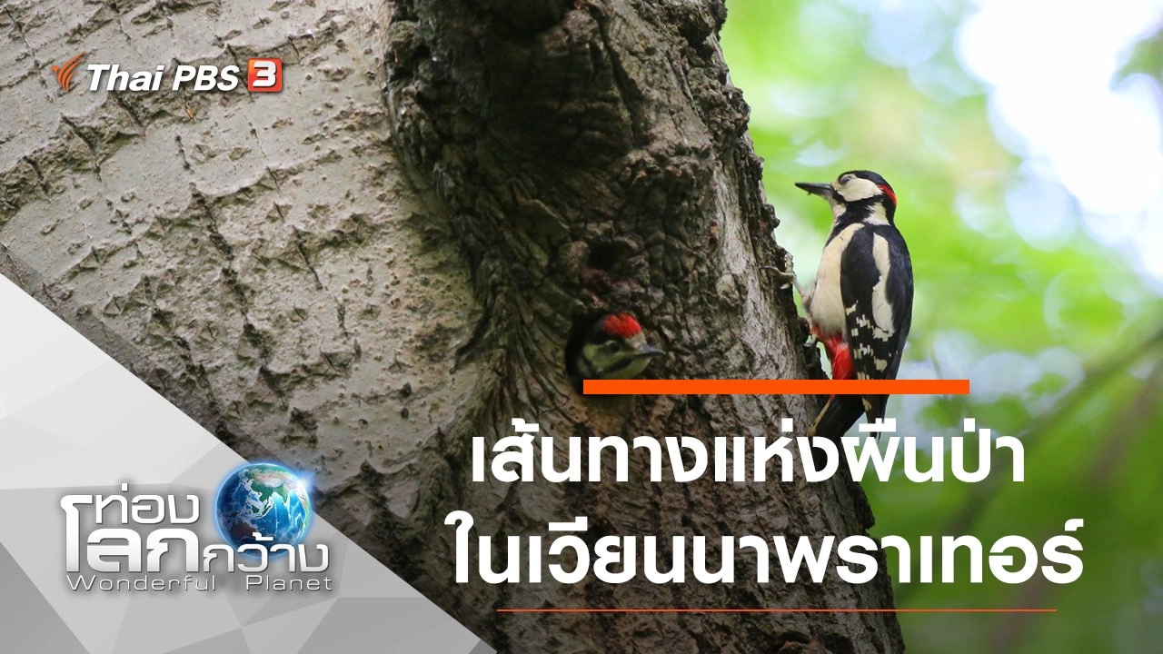 เส้นทางแห่งผืนป่าในเวียนนาพราเทอร์