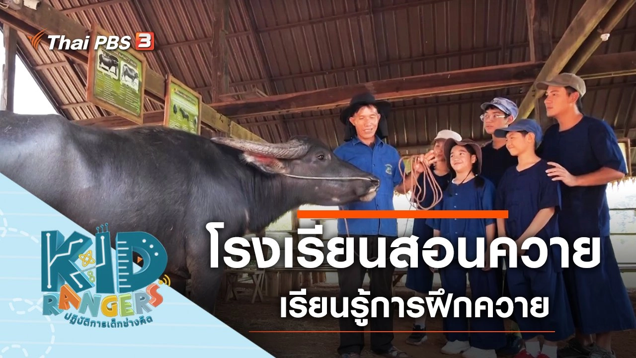 โรงเรียนสอนควาย