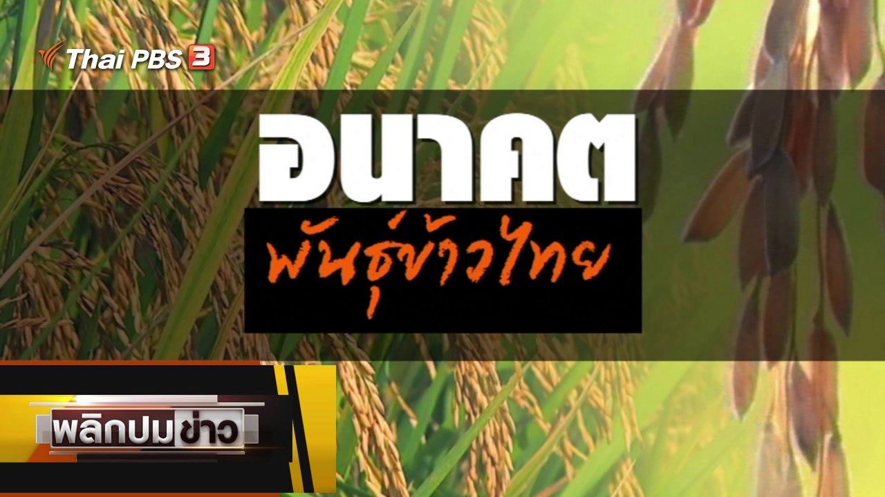 อนาคตพันธุ์ข้าวไทย