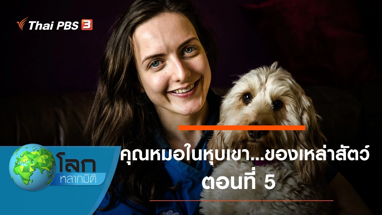 คุณหมอในหุบเขา...ของเหล่าสัตว์ ตอนที่ 5