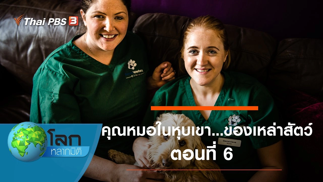 คุณหมอในหุบเขา...ของเหล่าสัตว์ ตอนที่ 6