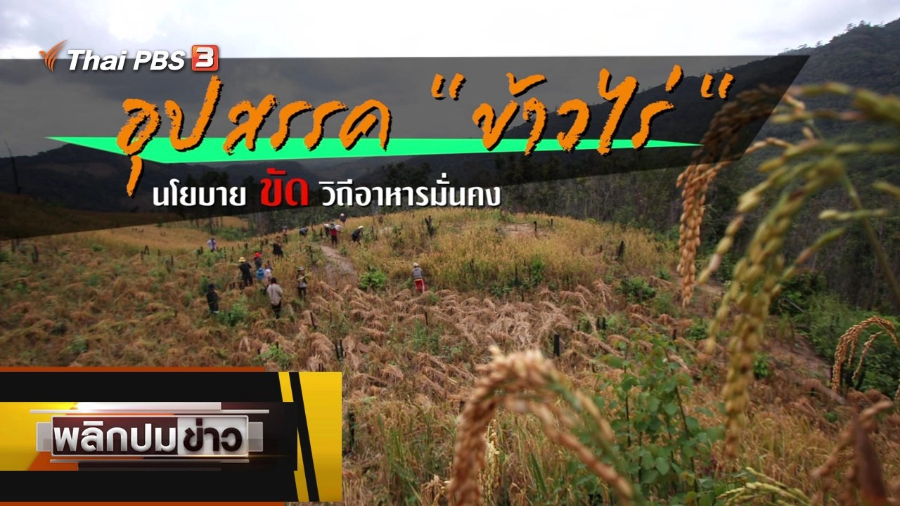 อุปสรรคข้าวไร่ นโยบายขัดวิถีิอาหารมั่นคง