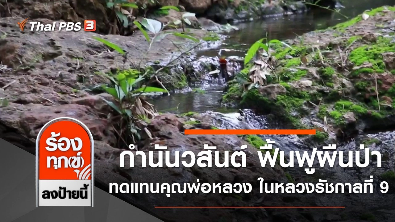 กำนันวสันต์ ผู้สร้างฝายชะลอน้ำฟื้นฟูผืนป่า ทดแทนคุณพ่อหลวง ในหลวงรัชกาลที่ 9