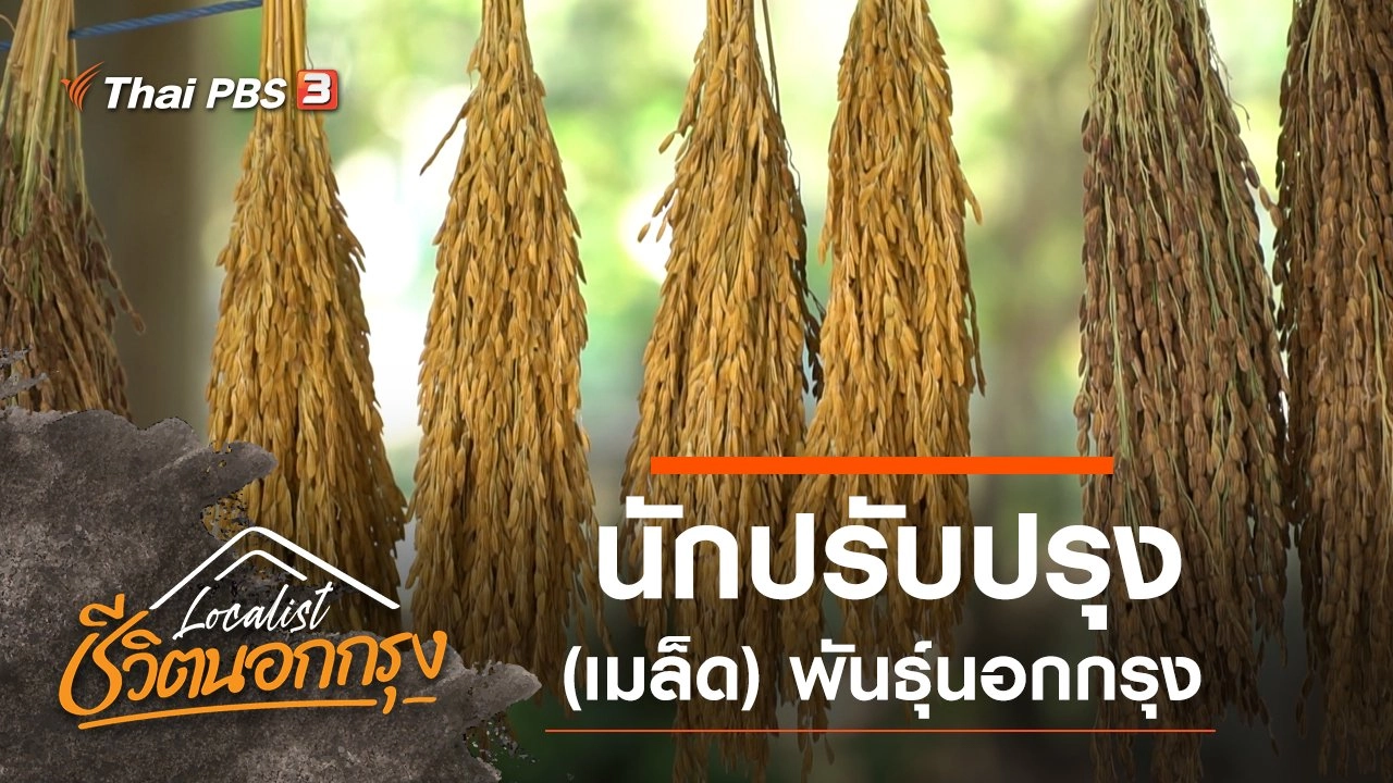 นักปรับปรุง (เมล็ด) พันธุ์นอกกรุง