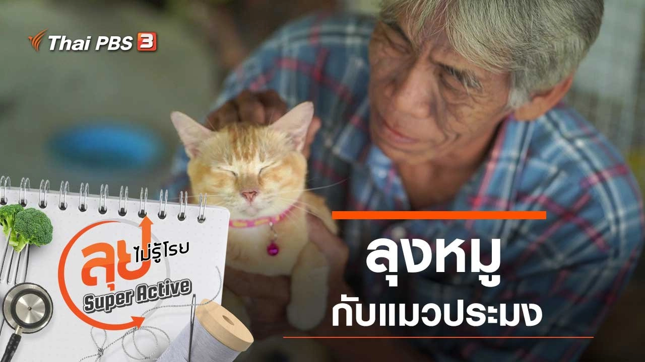 ลุงหมูกับแมวประมง