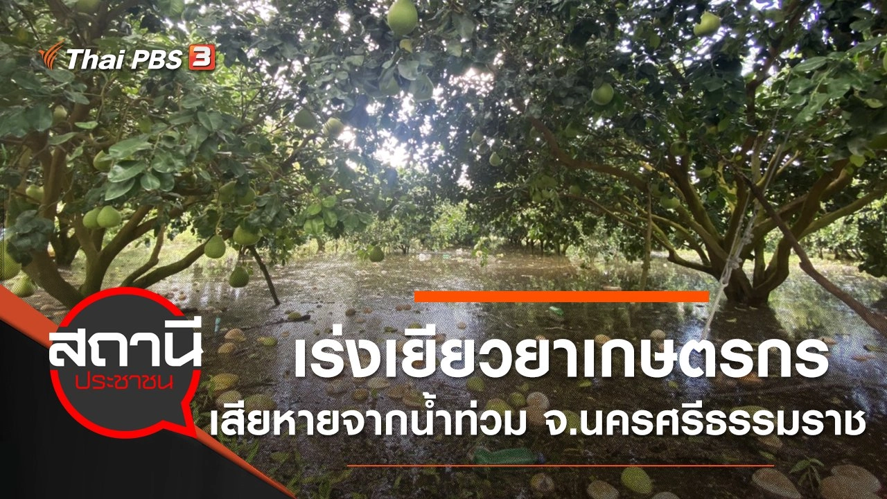 เร่งเยียวยาเกษตรกรเสียหายจากน้ำท่วม จ.นครศรีธรรมราช
