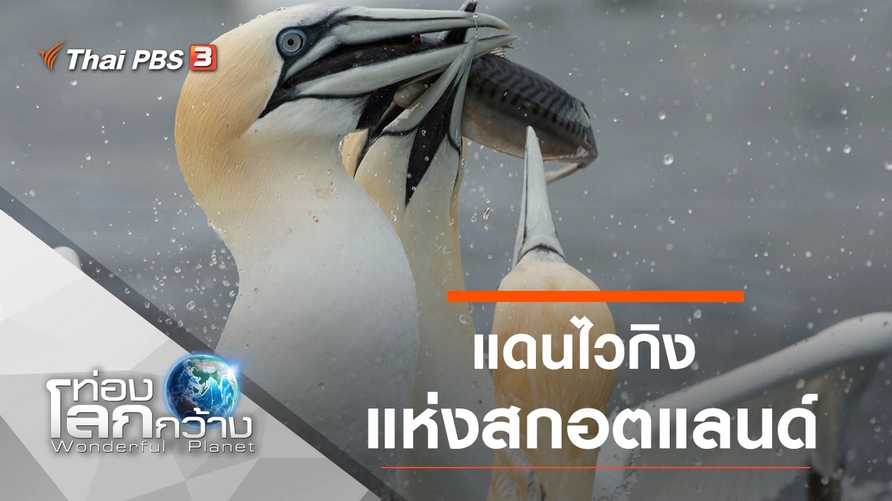 แดนไวกิงแห่งสกอตแลนด์