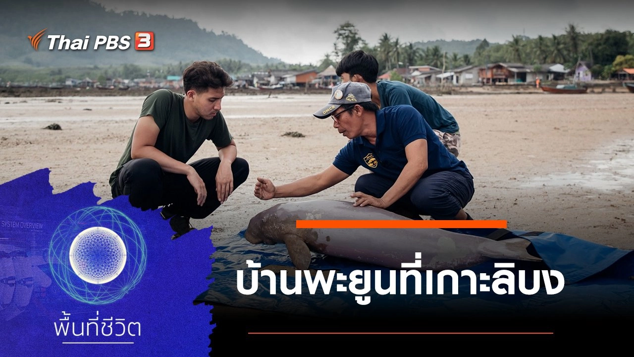 บ้านพะยูนที่เกาะลิบง