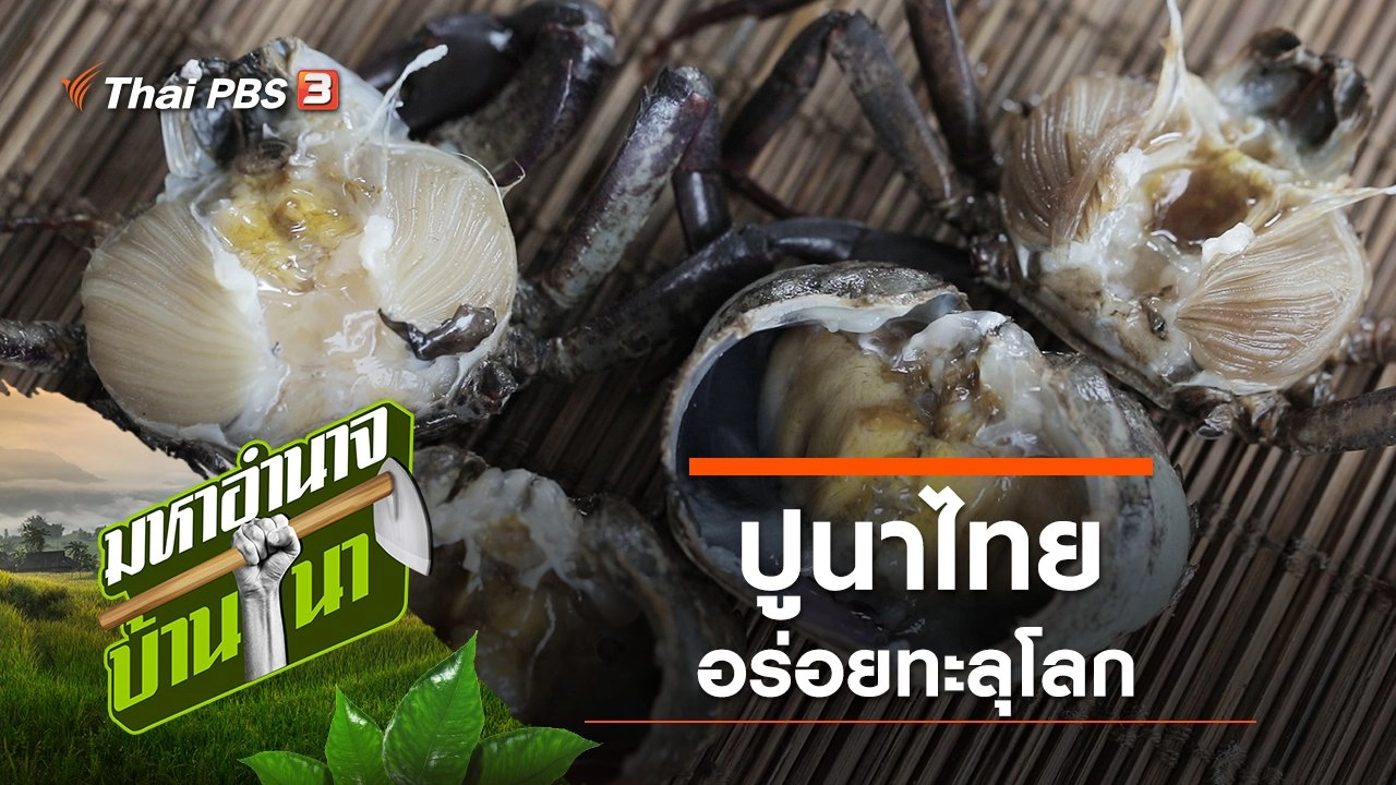 ปูนาไทย อร่อยทะลุโลก