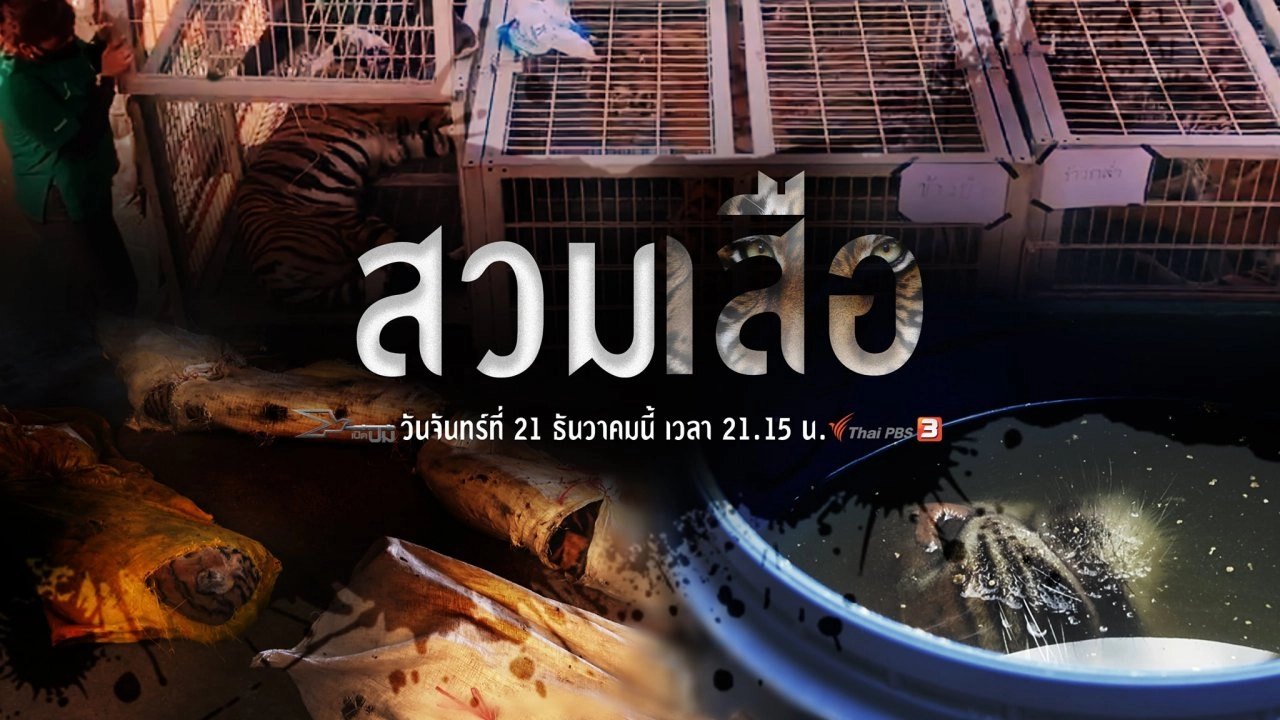 สวมเสือ