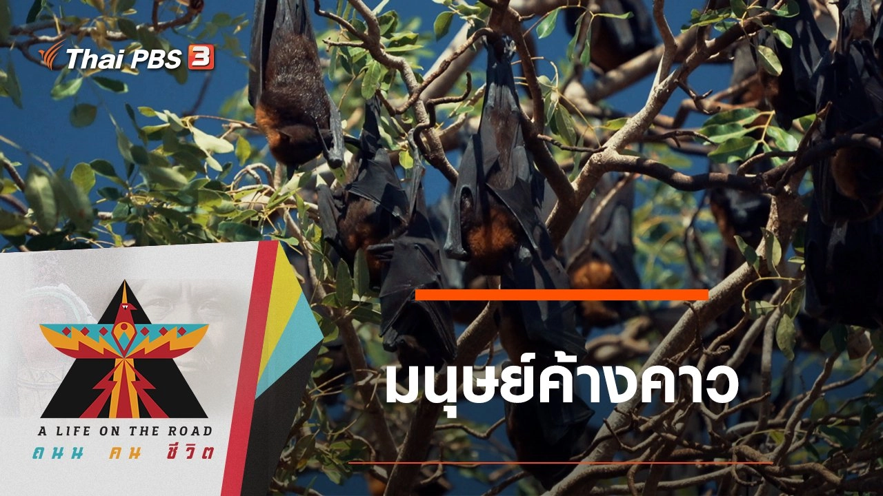 มนุษย์ค้างคาว