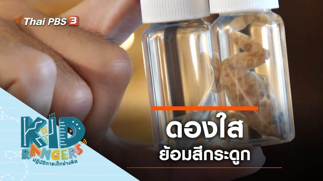 ​ดองใส ย้อมสีกระดูก