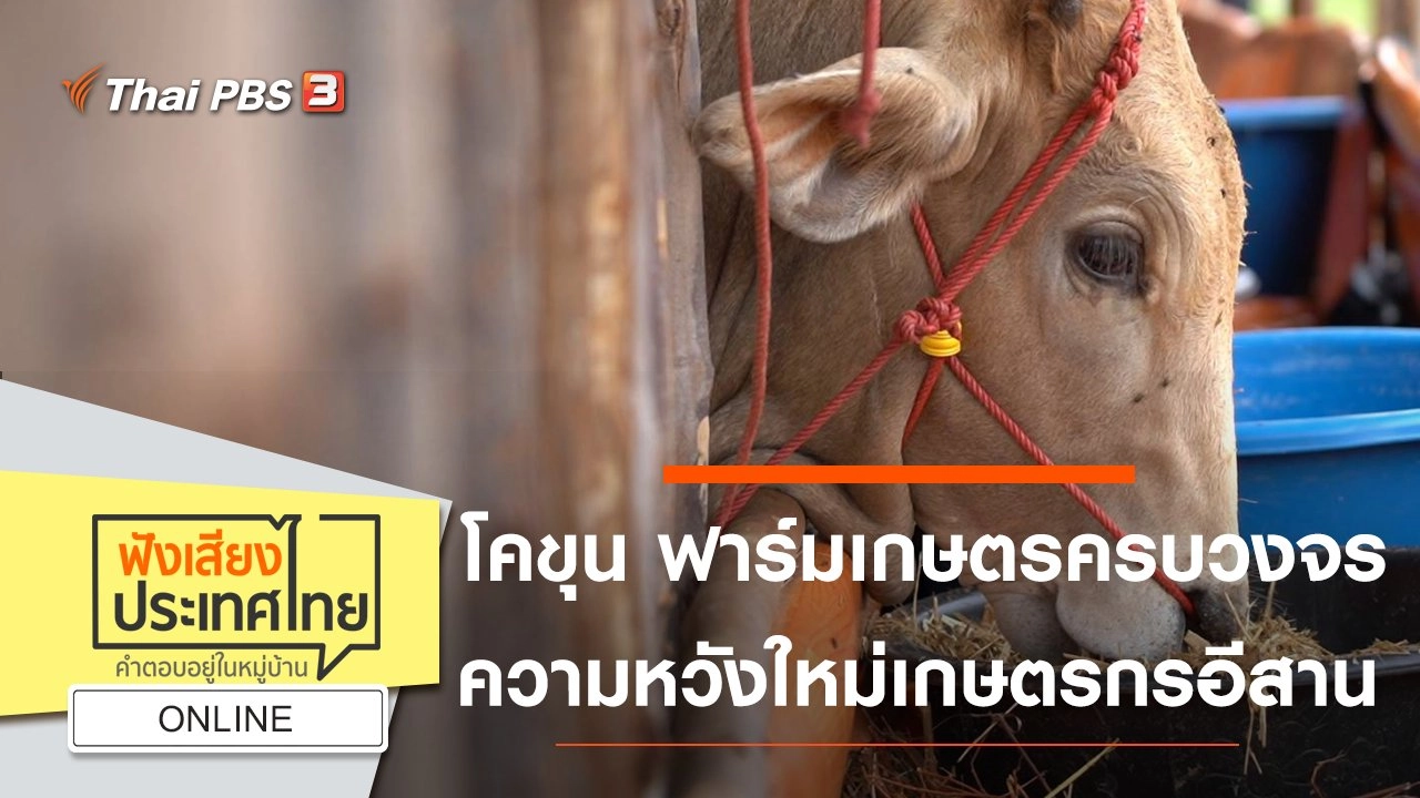 Online : โคขุน ฟาร์มเกษตรครบวงจร ความหวังใหม่เกษตรกรอีสาน