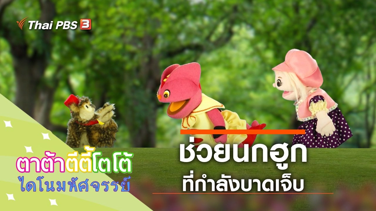 ช่วยนกฮูกบาดเจ็บ