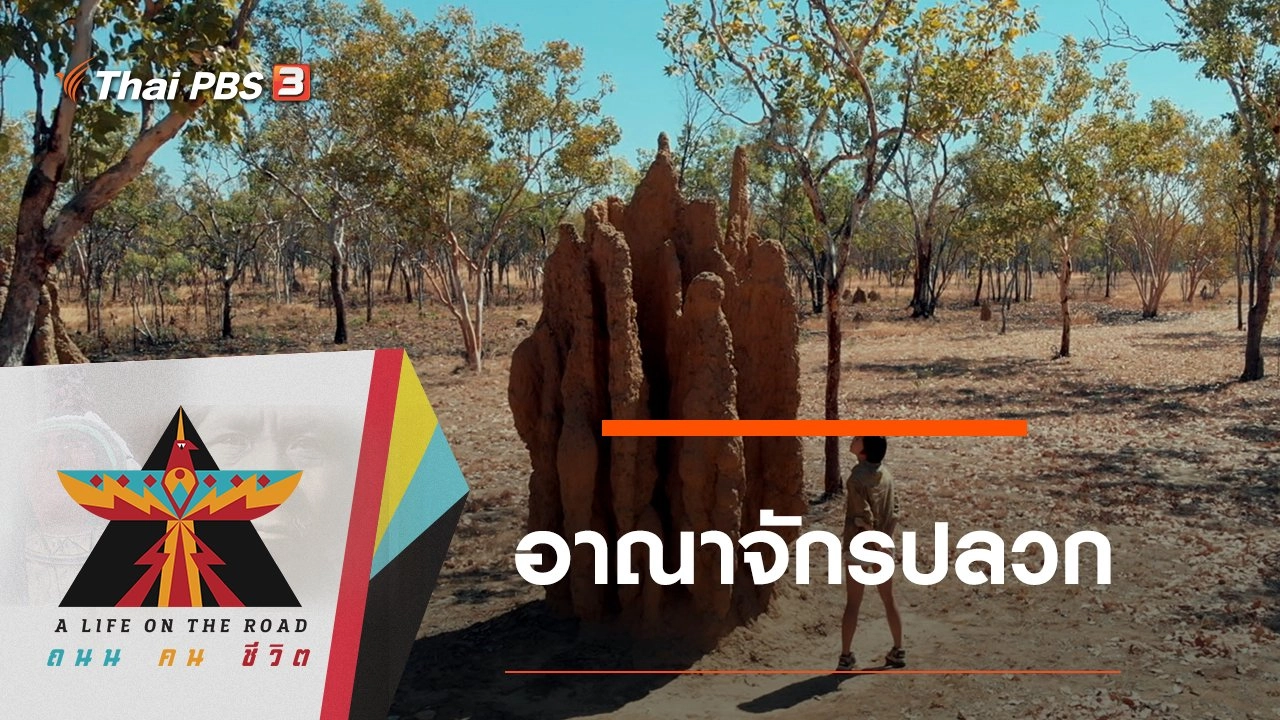 อาณาจักรปลวก