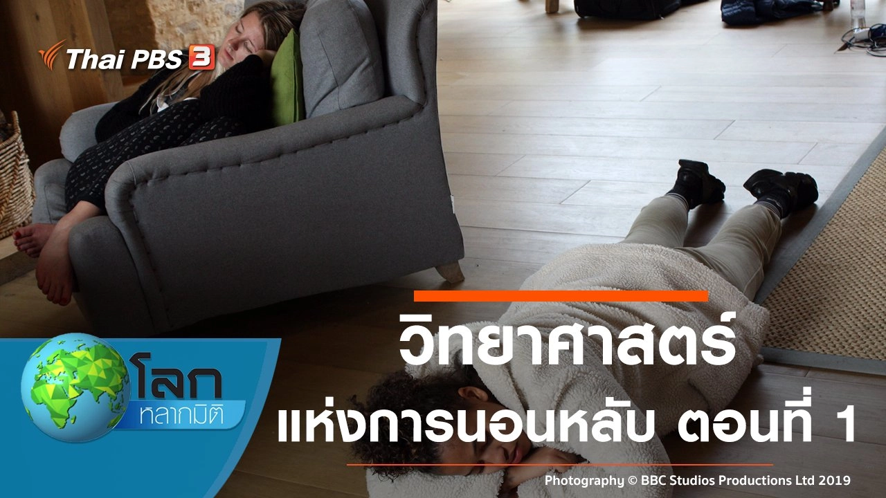 วิทยาศาสตร์แห่งการนอนหลับ ตอนที่ 1