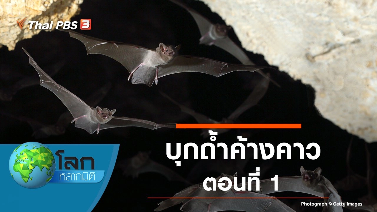 บุกถ้ำค้างคาว ตอนที่ 1