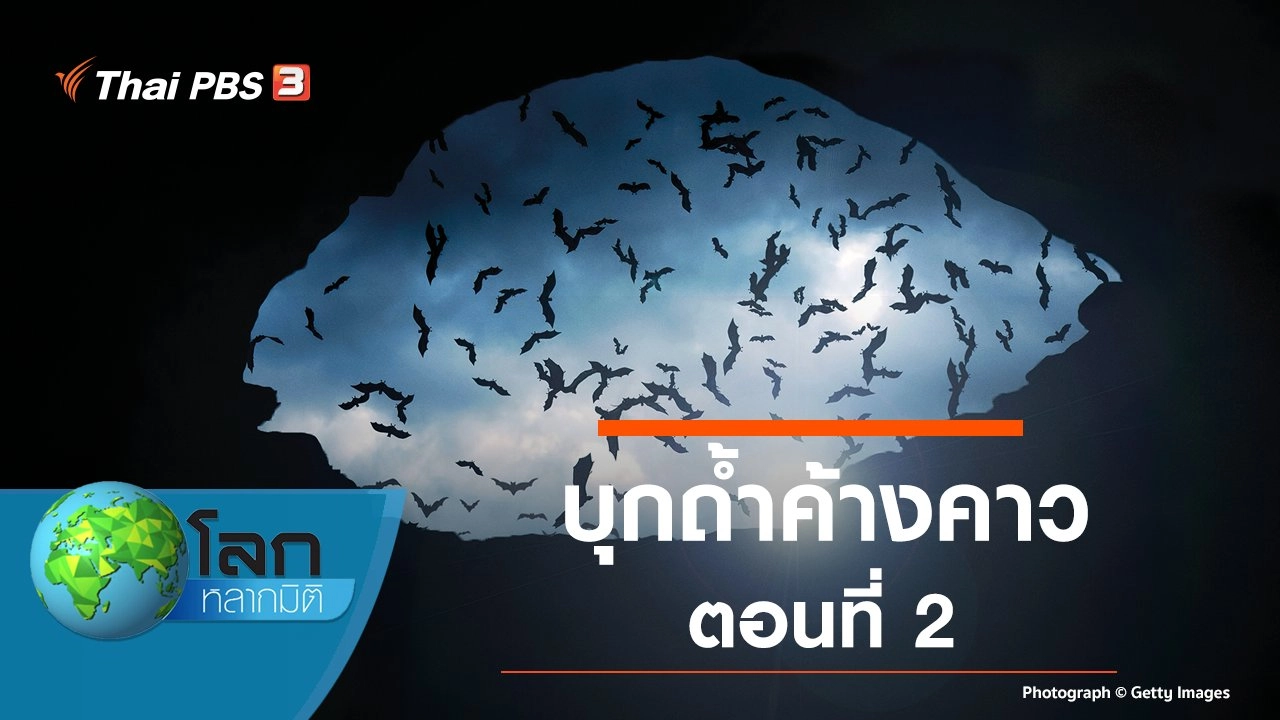 บุกถ้ำค้างคาว ตอนที่ 2