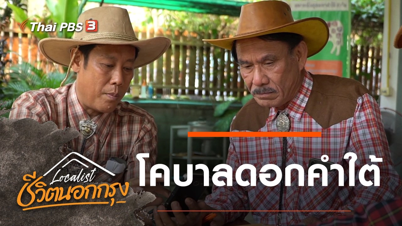 โคบาลดอกคำใต้