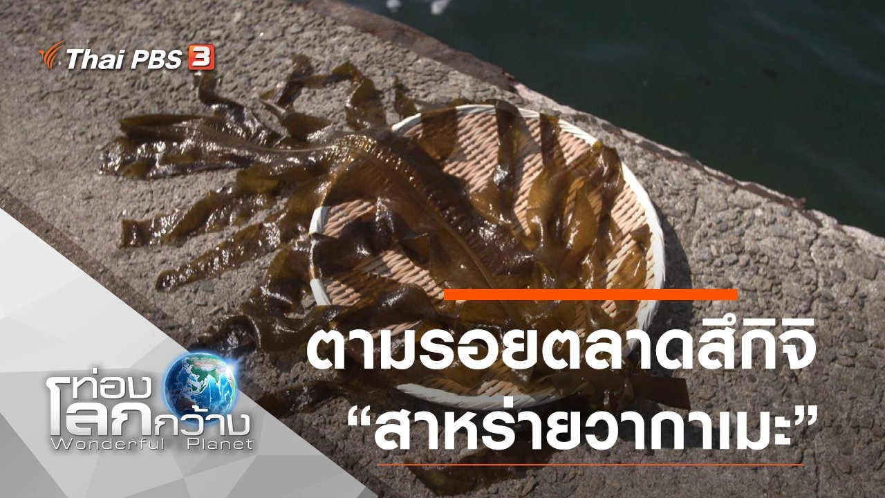 ตามรอยตลาดสึกิจิ ตอน สาหร่ายวากาเมะ และผักกาดขาว