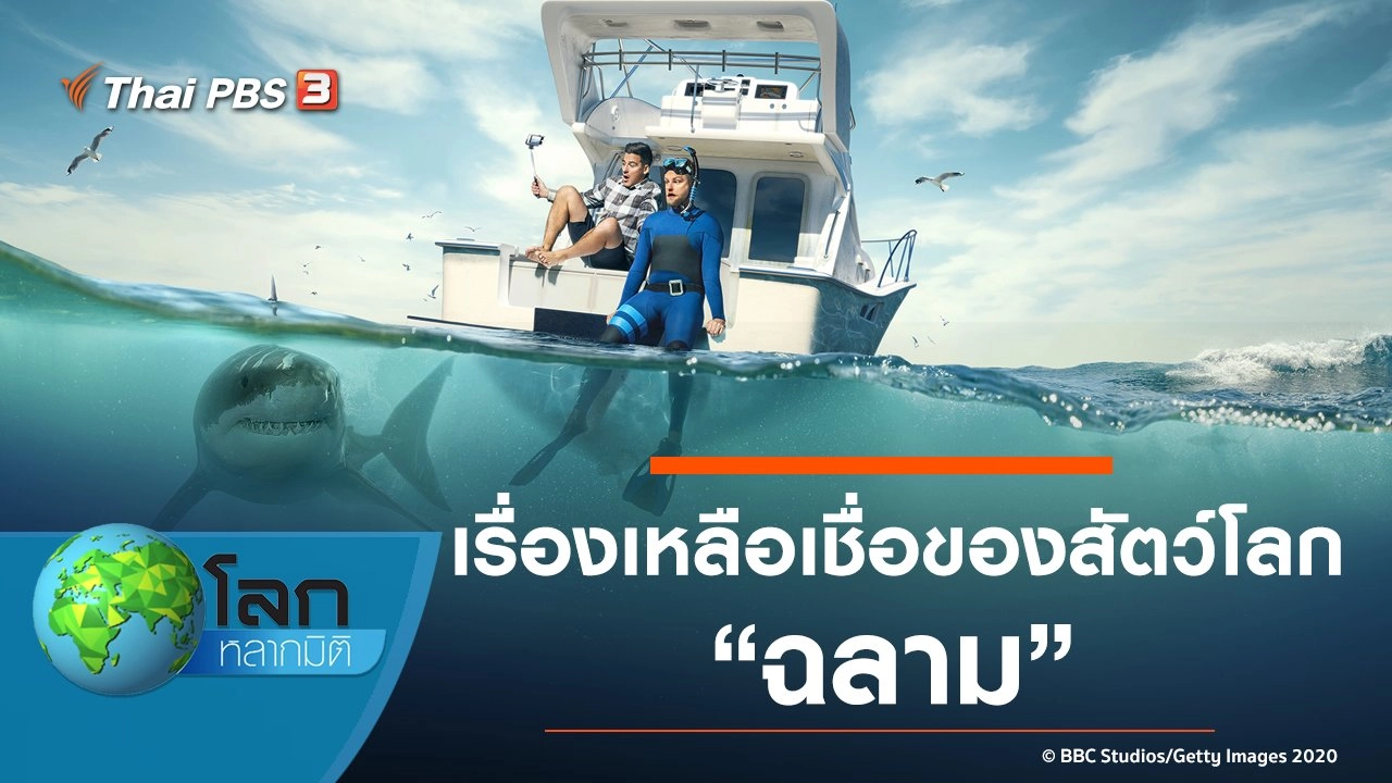 เรื่องเหลือเชื่อของสัตว์โลก ตอน ฉลาม