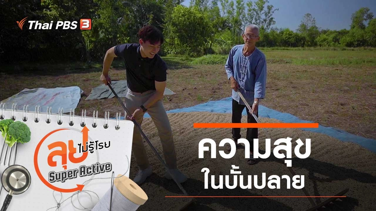 ความสุขในบั้นปลาย