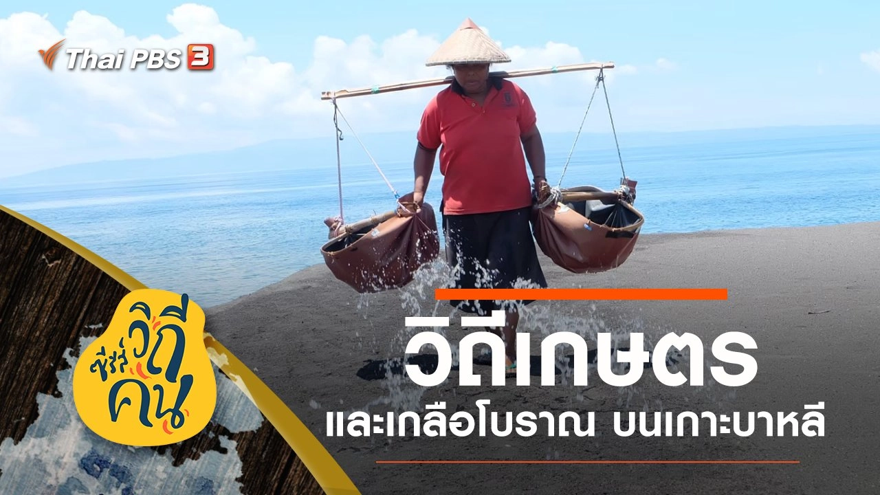 วิถี "เกษตรและเกลือโบราณ" เกาะบาหลี ประเทศอินโดนีเซีย