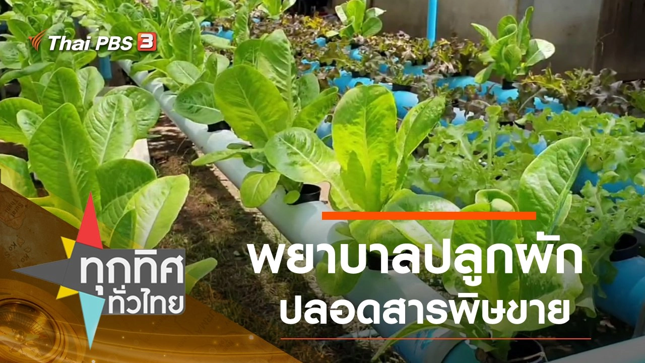 ประเด็นข่าว (26 ส.ค. 63)