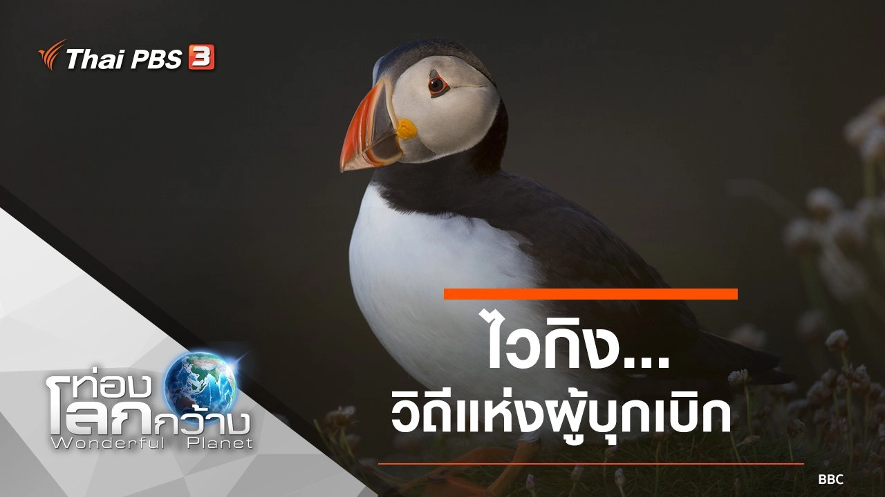 ไวกิง...วิถีแห่งผู้บุกเบิก