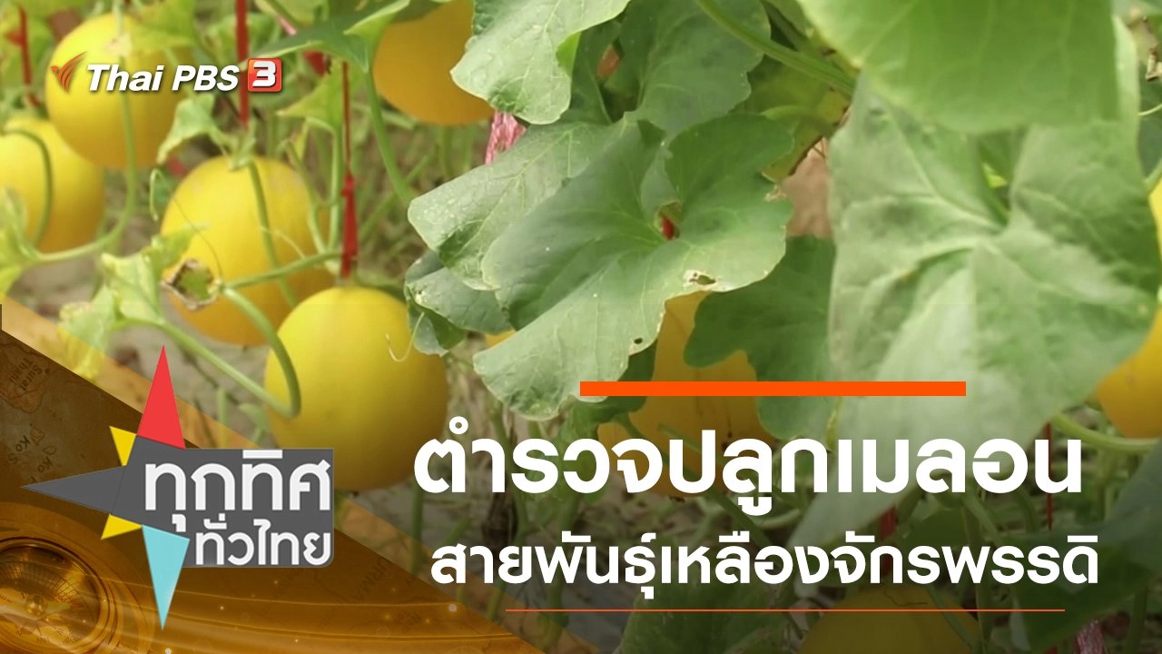 ประเด็นข่าว (31 ส.ค. 63)