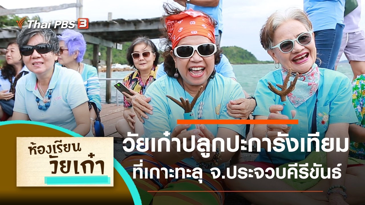 วัยเก๋าเรียนรู้การปลูกปะการังเทียม