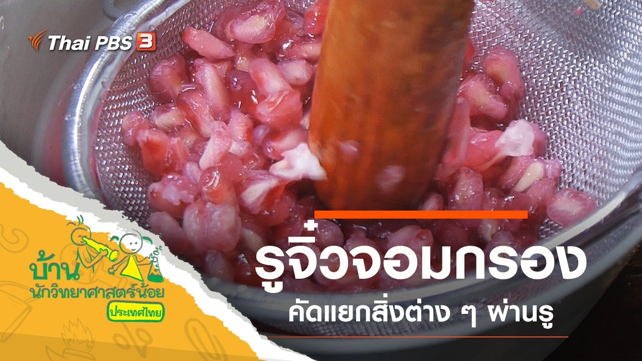 รูจิ๋วจอมกรอง