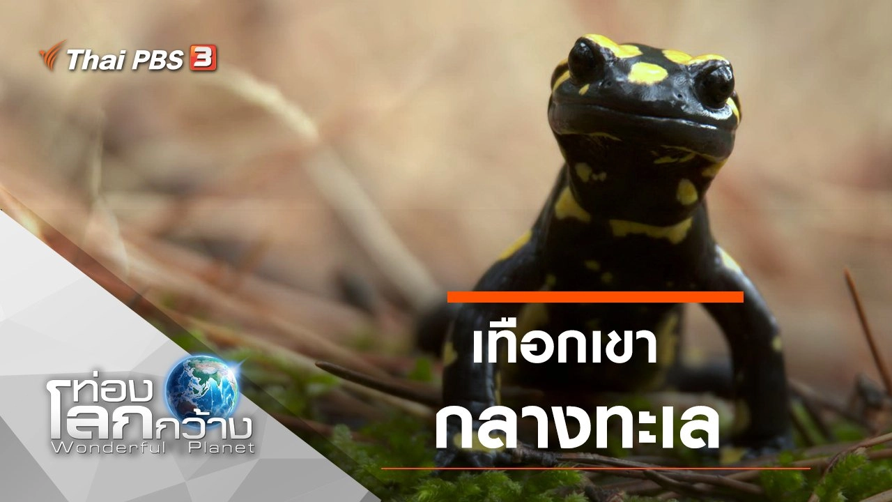 เทือกเขากลางทะเล