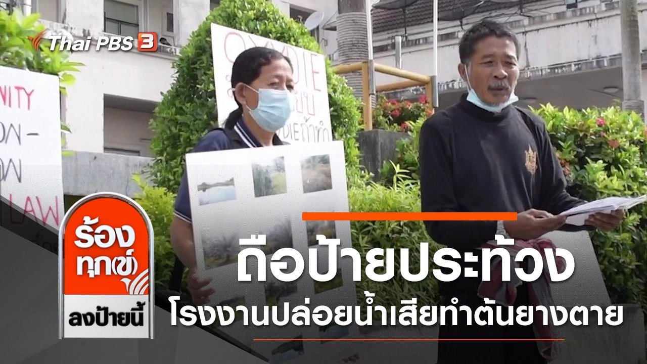 ถือป้ายประท้วงหน้าศาลากลาง โรงงานปล่อยน้ำเสียทำต้นยางตาย จ.ตรัง