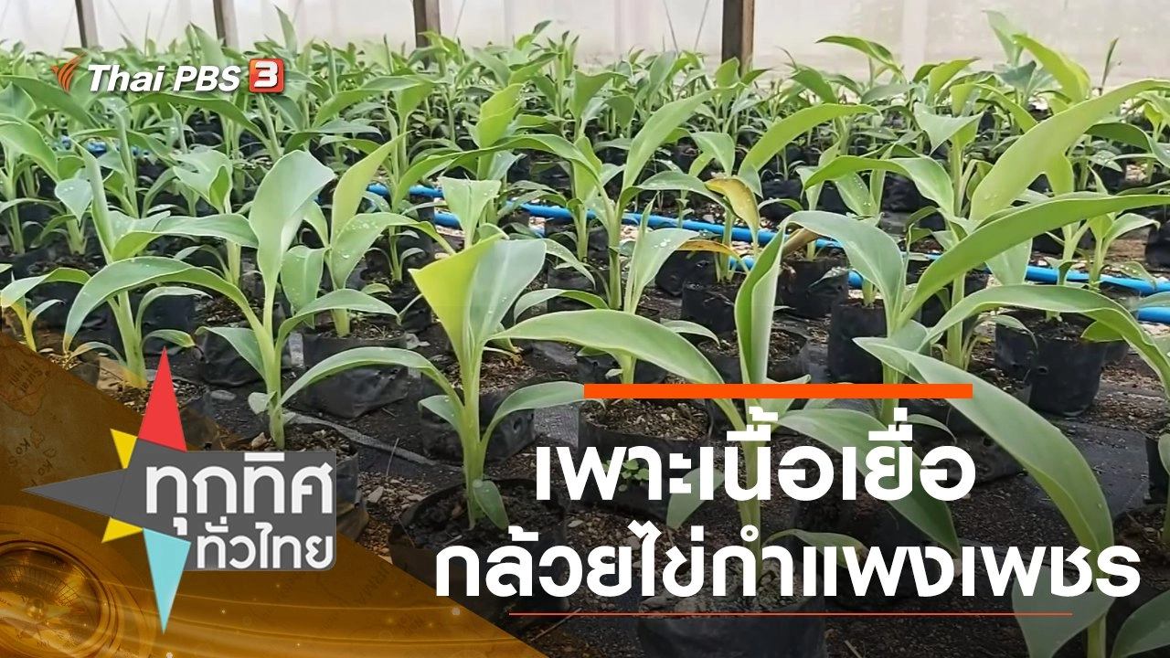 ประเด็นข่าว (16 ก.ย. 63)