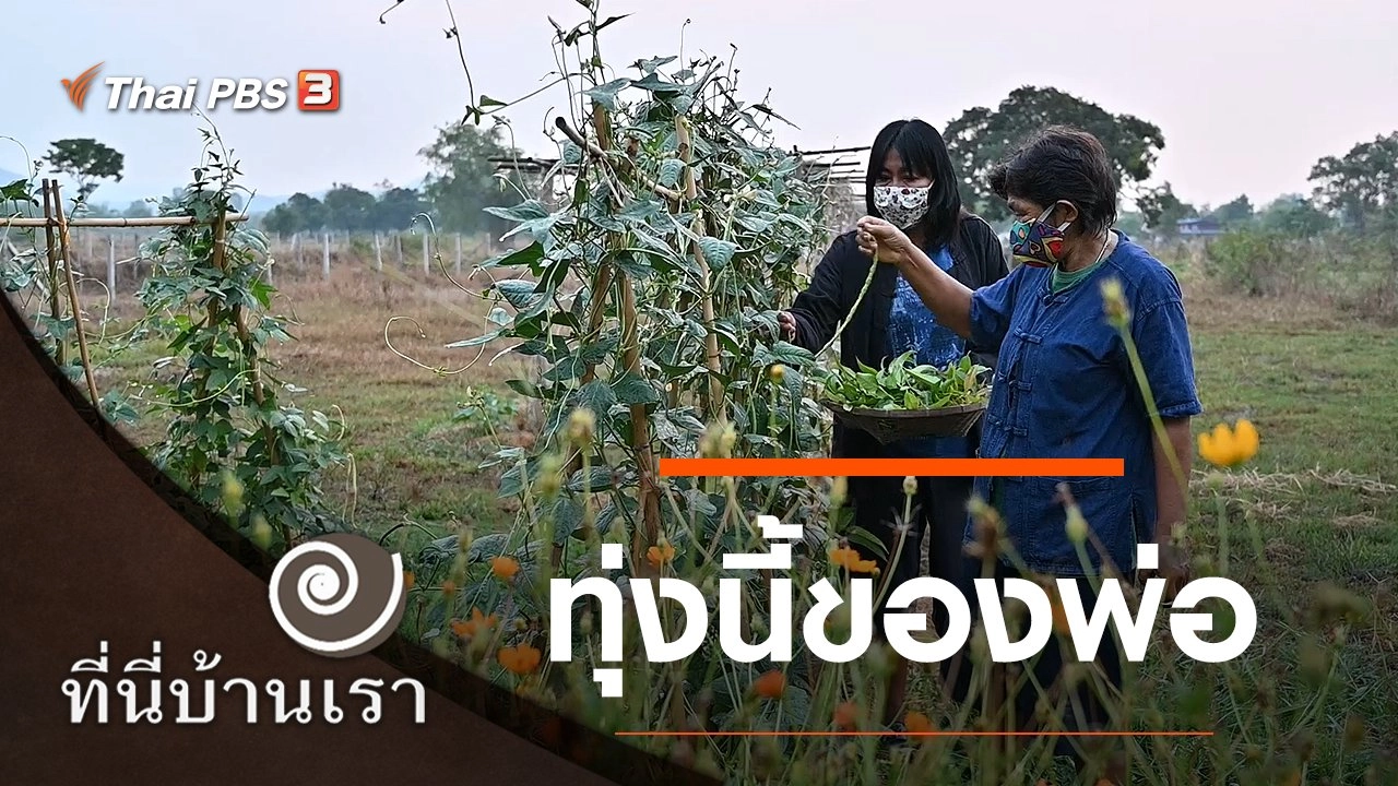 ทุ่งนี้ของพ่อ