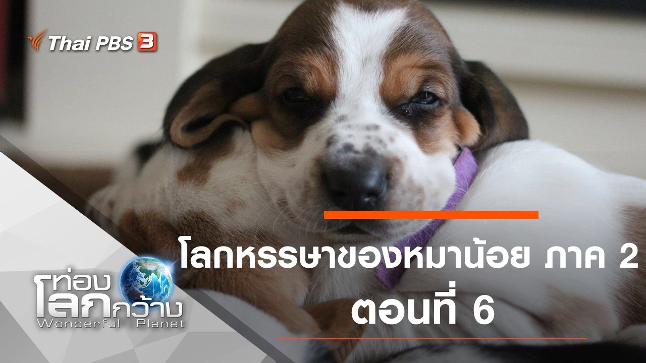 โลกหรรษาของหมาน้อย ภาค 2 ตอนที่ 6