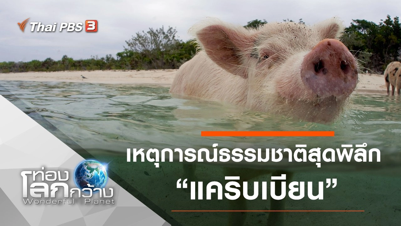 เหตุการณ์ธรรมชาติสุดพิลึก ตอน แคริบเบียน