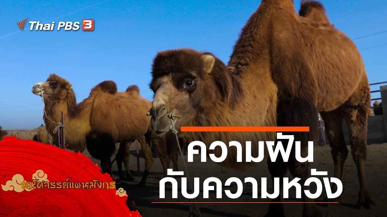 ความฝันกับความหวัง