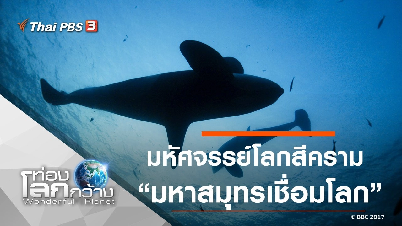 มหัศจรรย์โลกสีคราม ตอน มหาสมุทรเชื่อมโลก