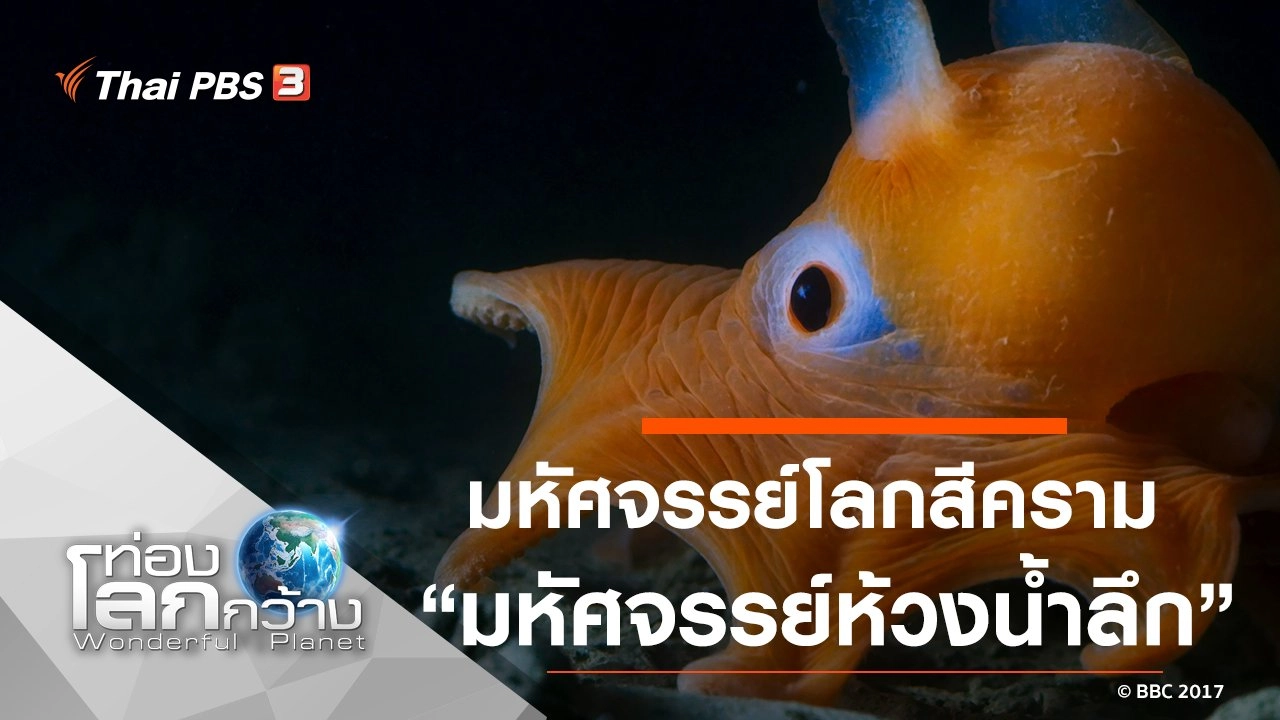 มหัศจรรย์โลกสีคราม ตอน มหัศจรรย์ห้วงน้ำลึก