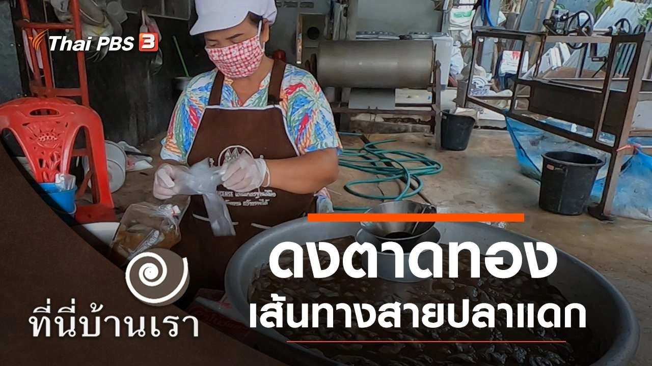 ดงตาดทอง เส้นทางสายปลาแดก