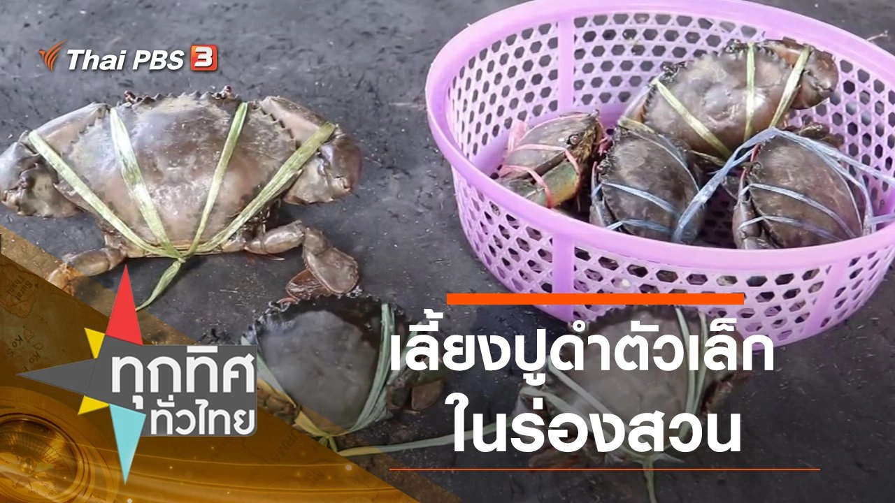 ประเด็นข่าว (5 ต.ค. 63)