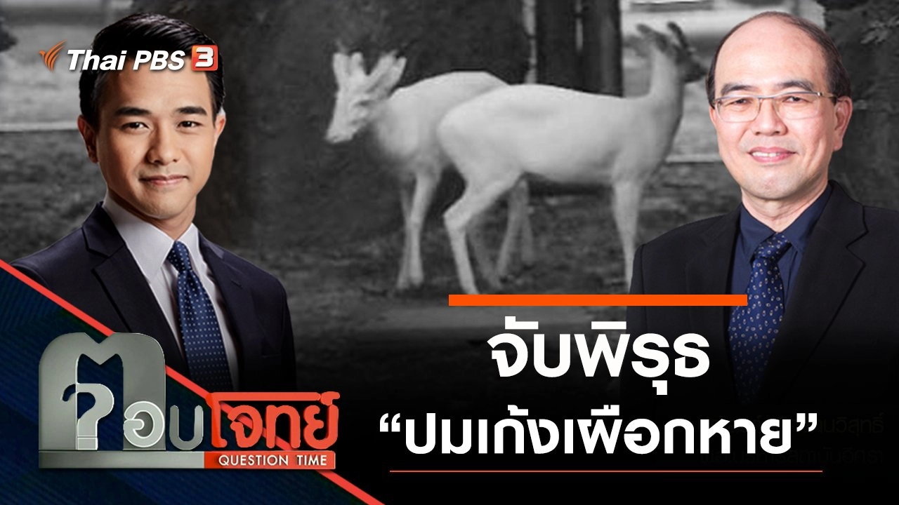 จับพิรุธ “ปมเก้งเผือกหาย”