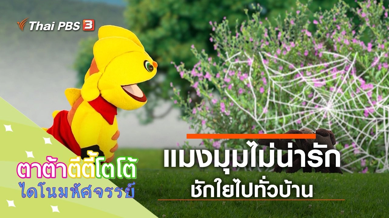 แมงมุมไม่น่ารัก