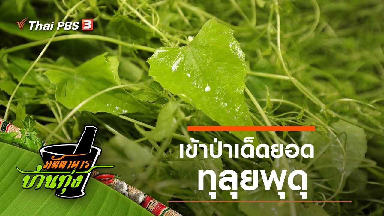 ทุลุยพุดุ