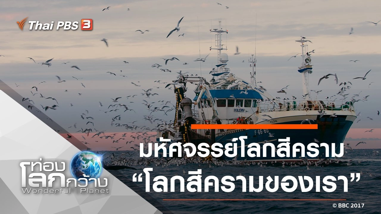 มหัศจรรย์โลกสีคราม ตอน โลกสีครามของเรา