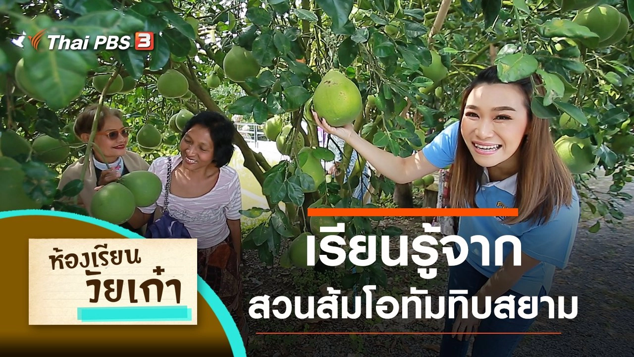 เรียนรู้จากสวนส้มโอทัมทิบสยาม