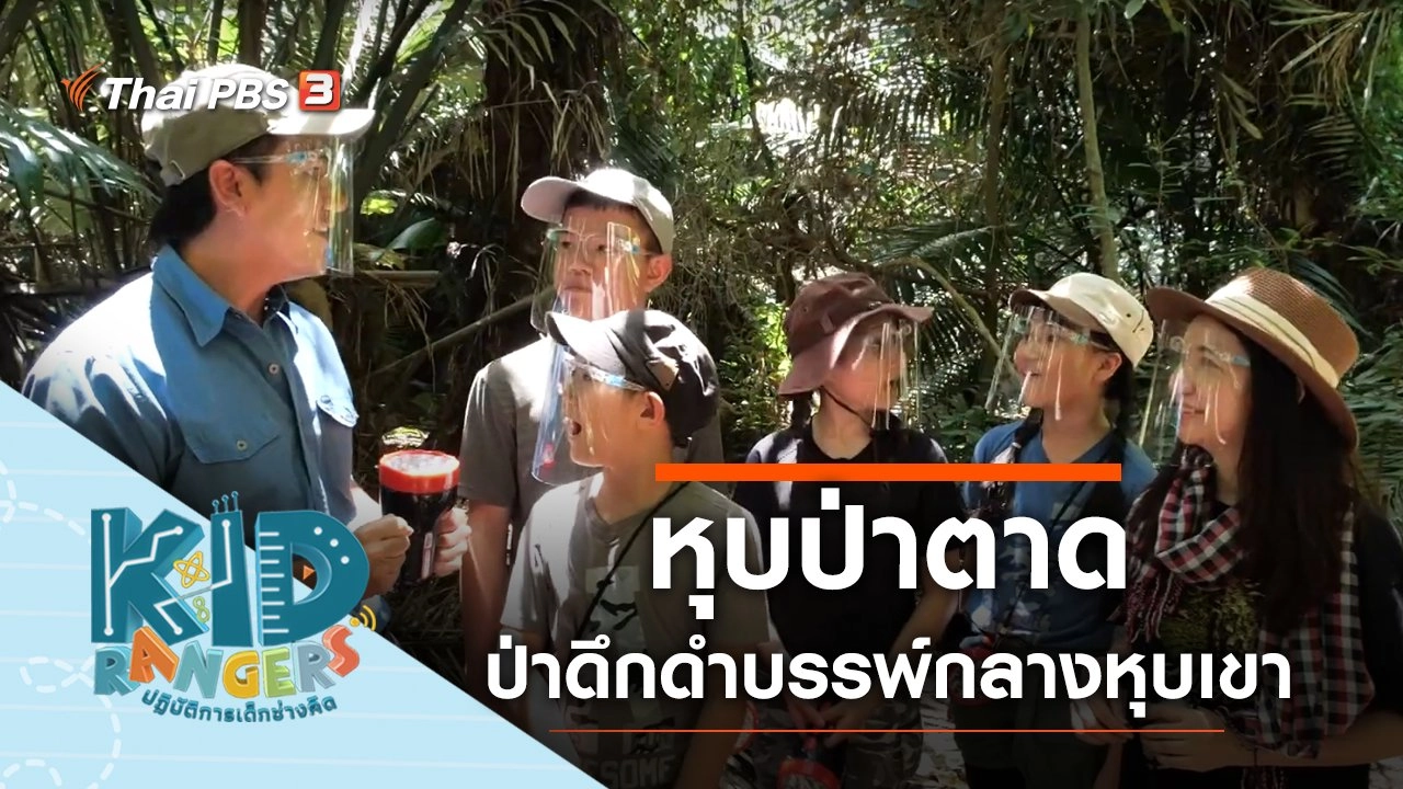 หุบป่าตาด