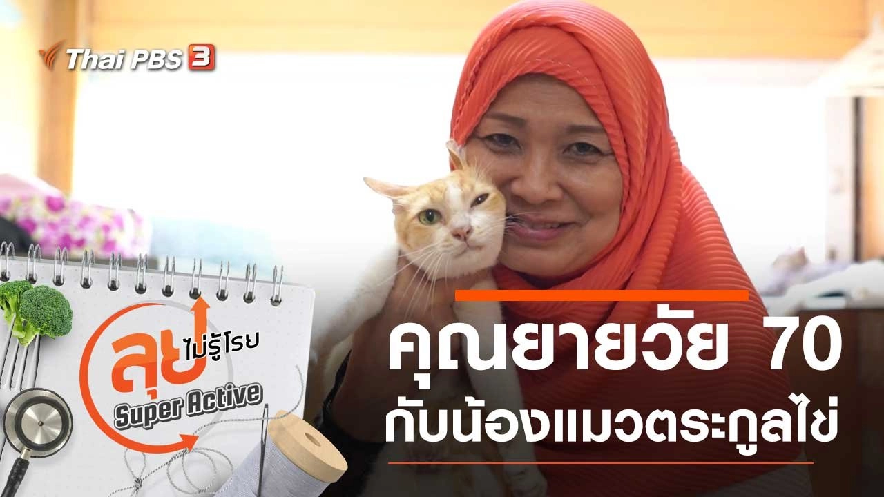 คุณยายวัย 70 กับน้องแมวตระกูลไข่